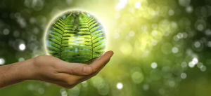 ISO 14001